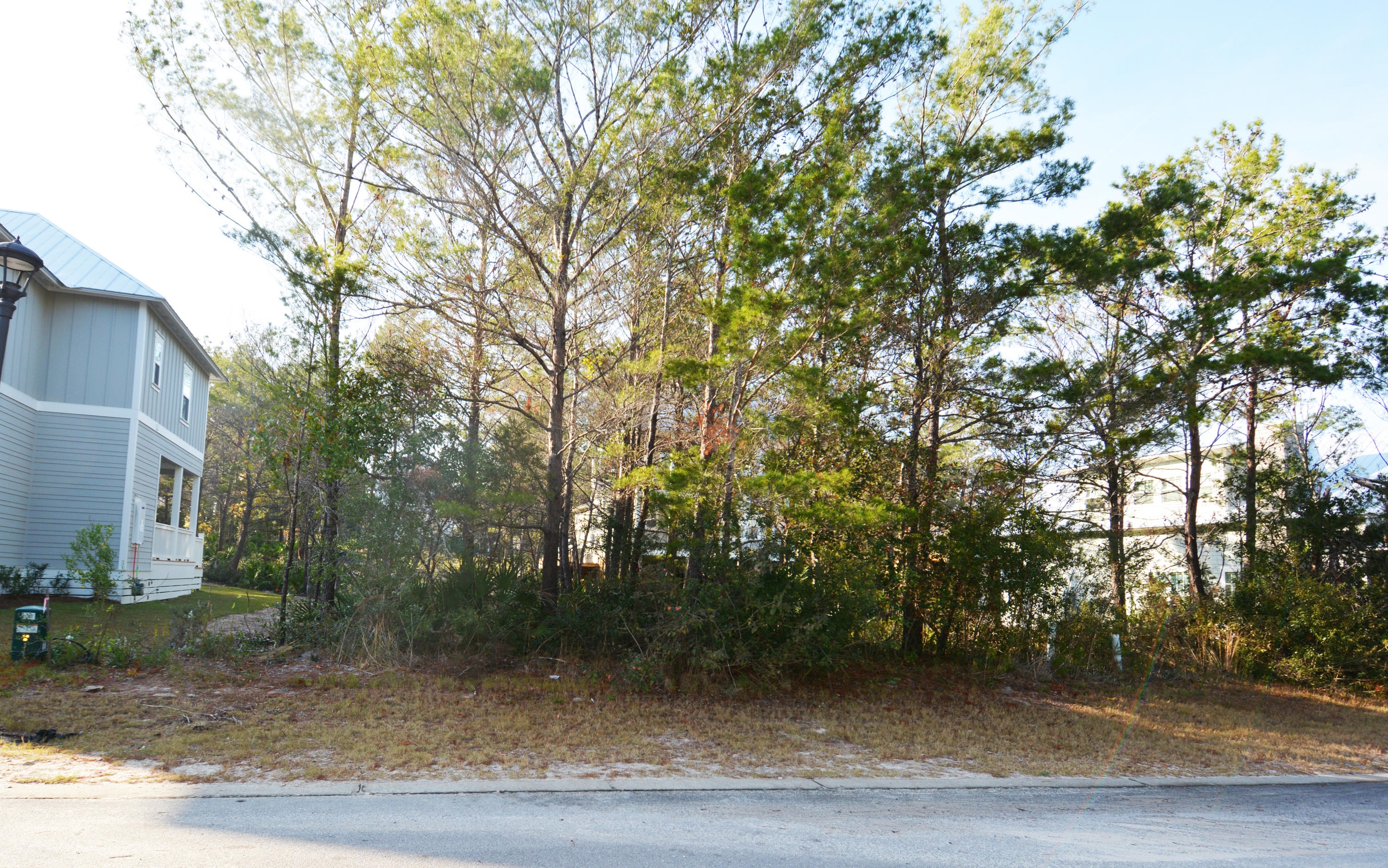 GRANDE POINTE AT INLET BEACH - Land