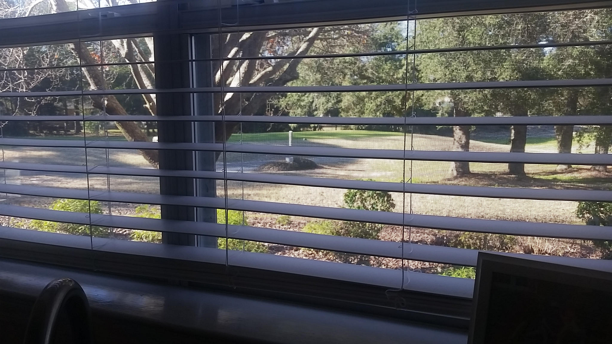 LINKS AT SHALIMAR POINTE - Residential