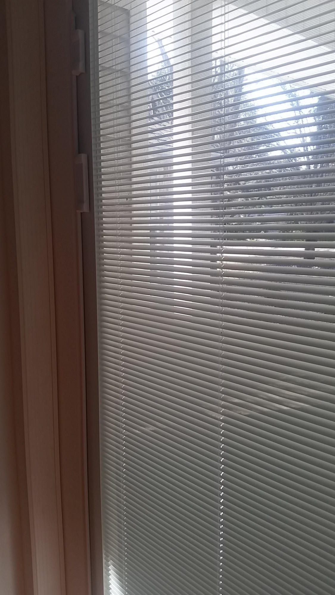 LINKS AT SHALIMAR POINTE - Residential