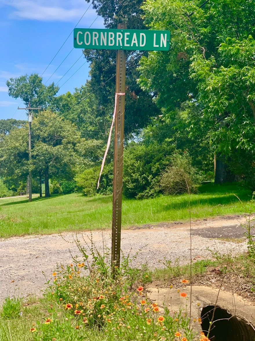 29.96 acres. This is a rare opportunity to own a piece of paradise. This is beautiful acreage. The property is located just off of Bill Lundy Rd. You will find many mature pines on one parcel and large old hardwoods on the other. Huge red oaks adorn the hill. Varying degrees of terrain make it perfect for hunting and privacy. There are multiple places that would be the perfect place to build a home. Approximately 7 miles from the high school and new Publix, this land would be the perfect new homesite or farm location.