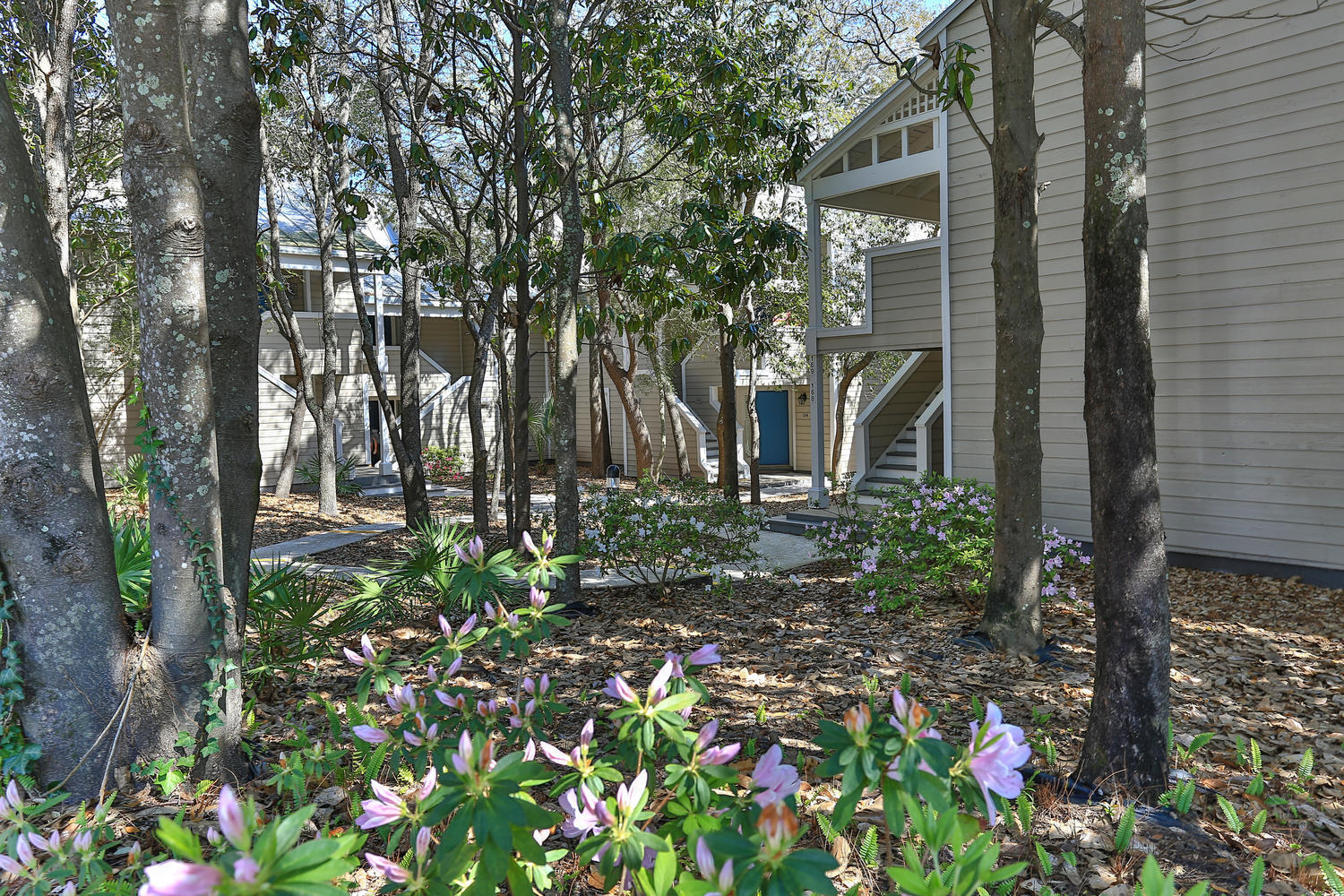 HIDDEN DUNES BEACH COTTAGES 2 - Residential