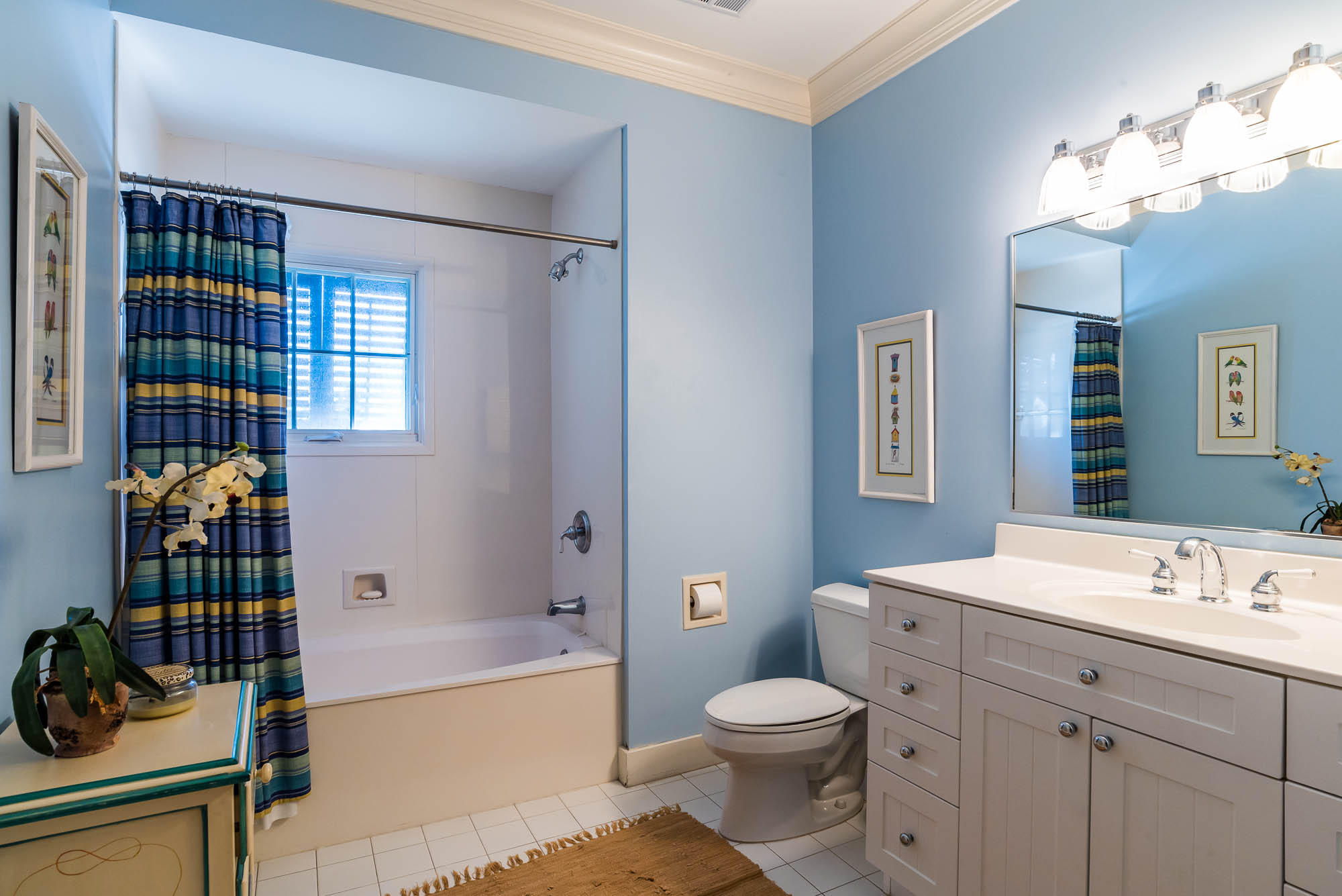 WATERCOLOR - Residential