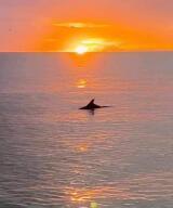 BEACH RESORT - Residential