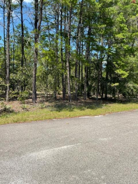 LOT 41 BLK B RED BAY GOLF CLUB PH I PB 10-12 OR 1298-225 OR 3283-4006 - Land