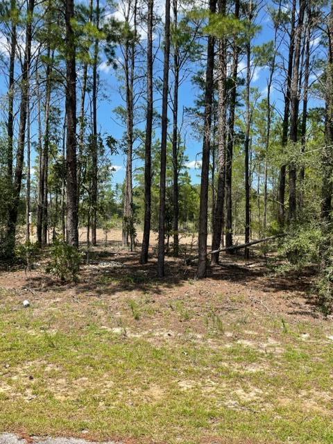 LOT 41 BLK B RED BAY GOLF CLUB PH I PB 10-12 OR 1298-225 OR 3283-4006 - Land