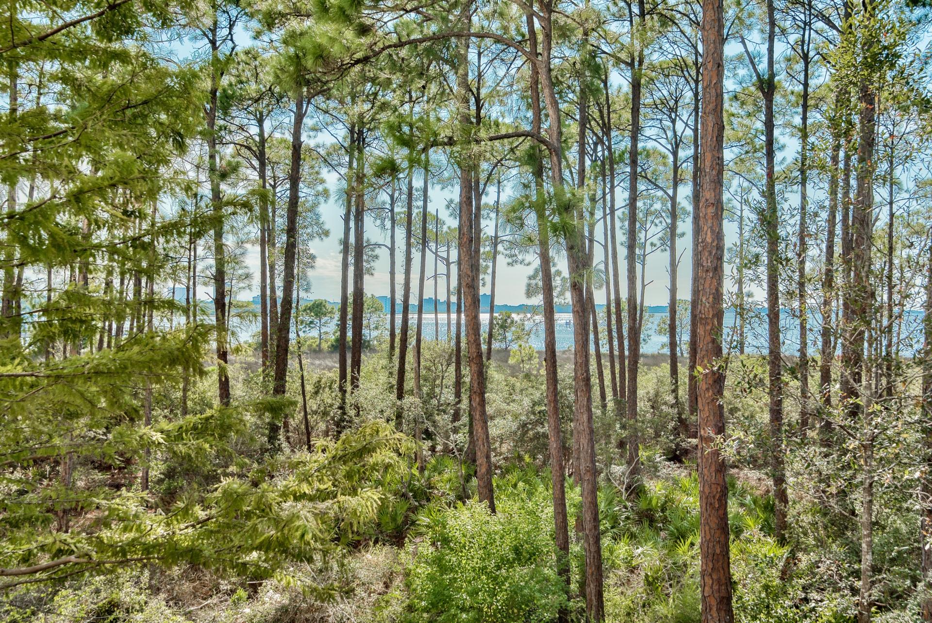 LASATA - Residential