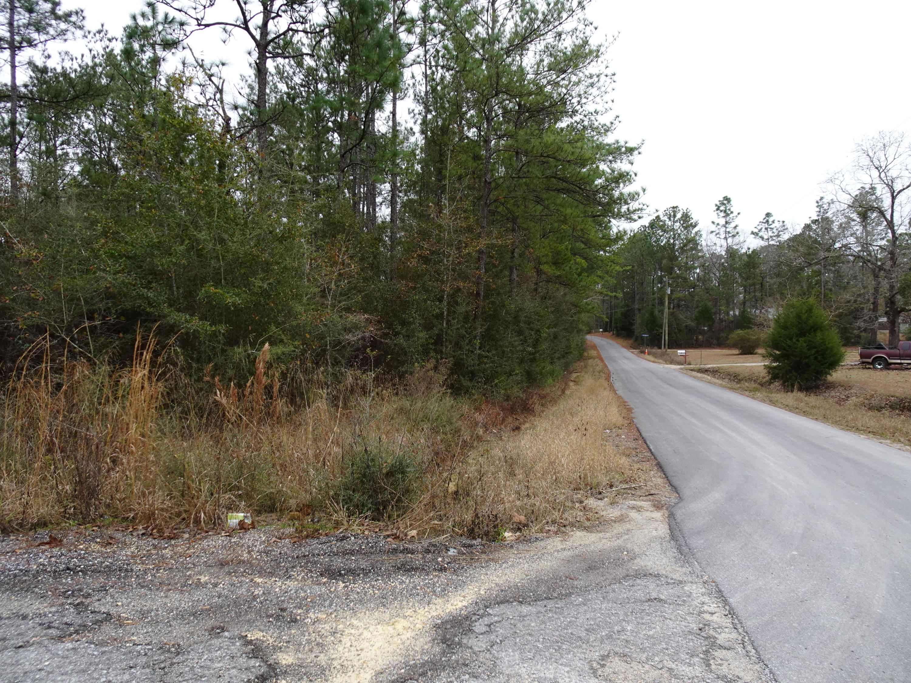 2.21 Wooded Acres on the corner of Timber Lake Dr and John Boland Road. Timber Lake is a paved road. Part of the lot is level and part is sloped. Electricity runs along both John Boland and Timber Lake Dr. Buyer will need both a well and septic tank installed.