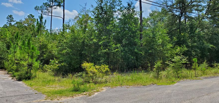 Great 4.25 Acre Parcel located directly on Main Drive in Crestview! Peaceful setting and being at one with nature is what you will find here to build your home away from the hustle and bustle of city life yet close enough to everything the Emerald Coast has to offer! The only thing missing is you!