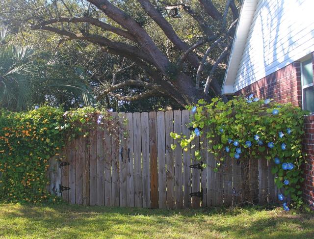 SUNDIAL ESTATES PH 2 - Residential