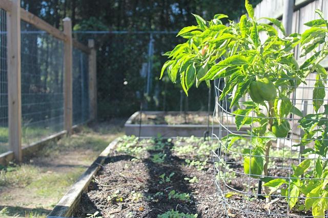 SUNDIAL ESTATES PH 2 - Residential