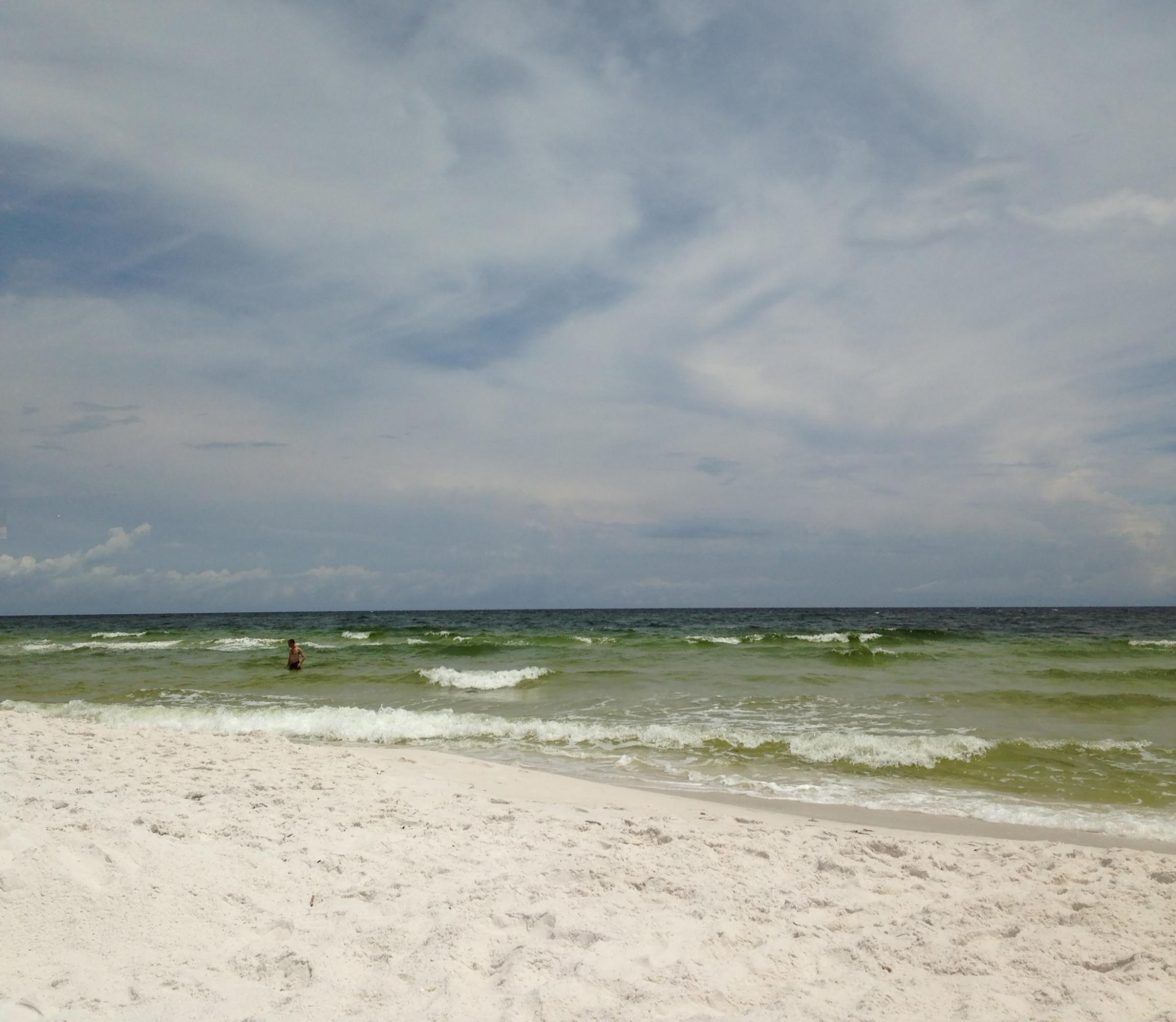 Topsail Preserve - Land