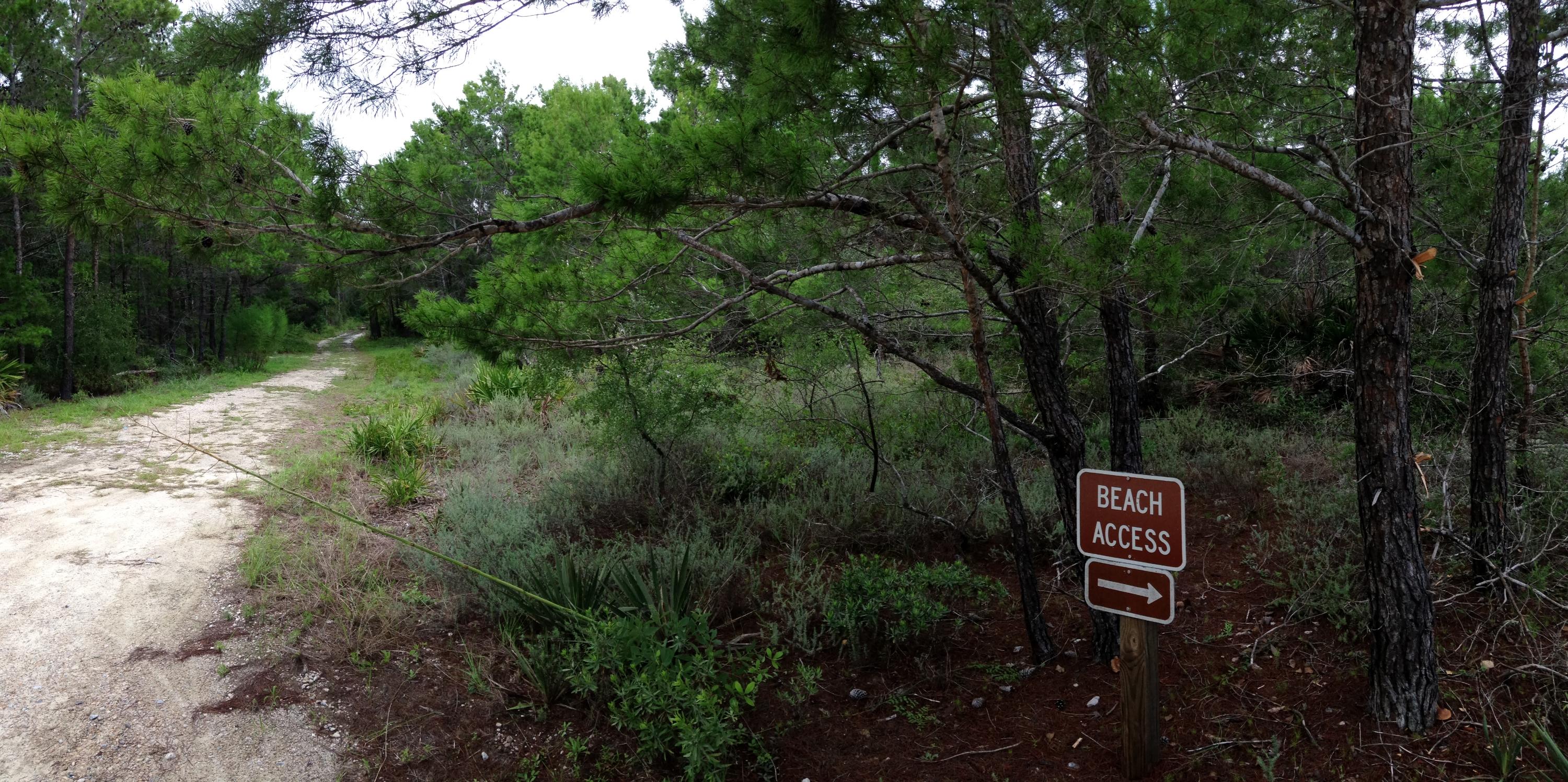 Topsail Preserve - Land
