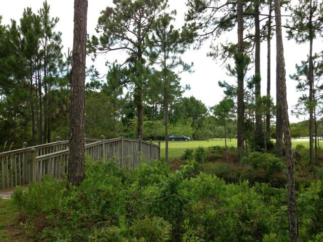 Topsail Preserve - Land