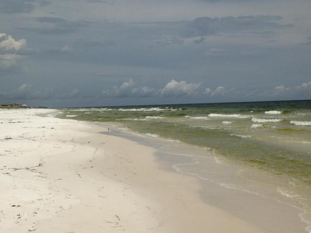 Topsail Preserve - Land