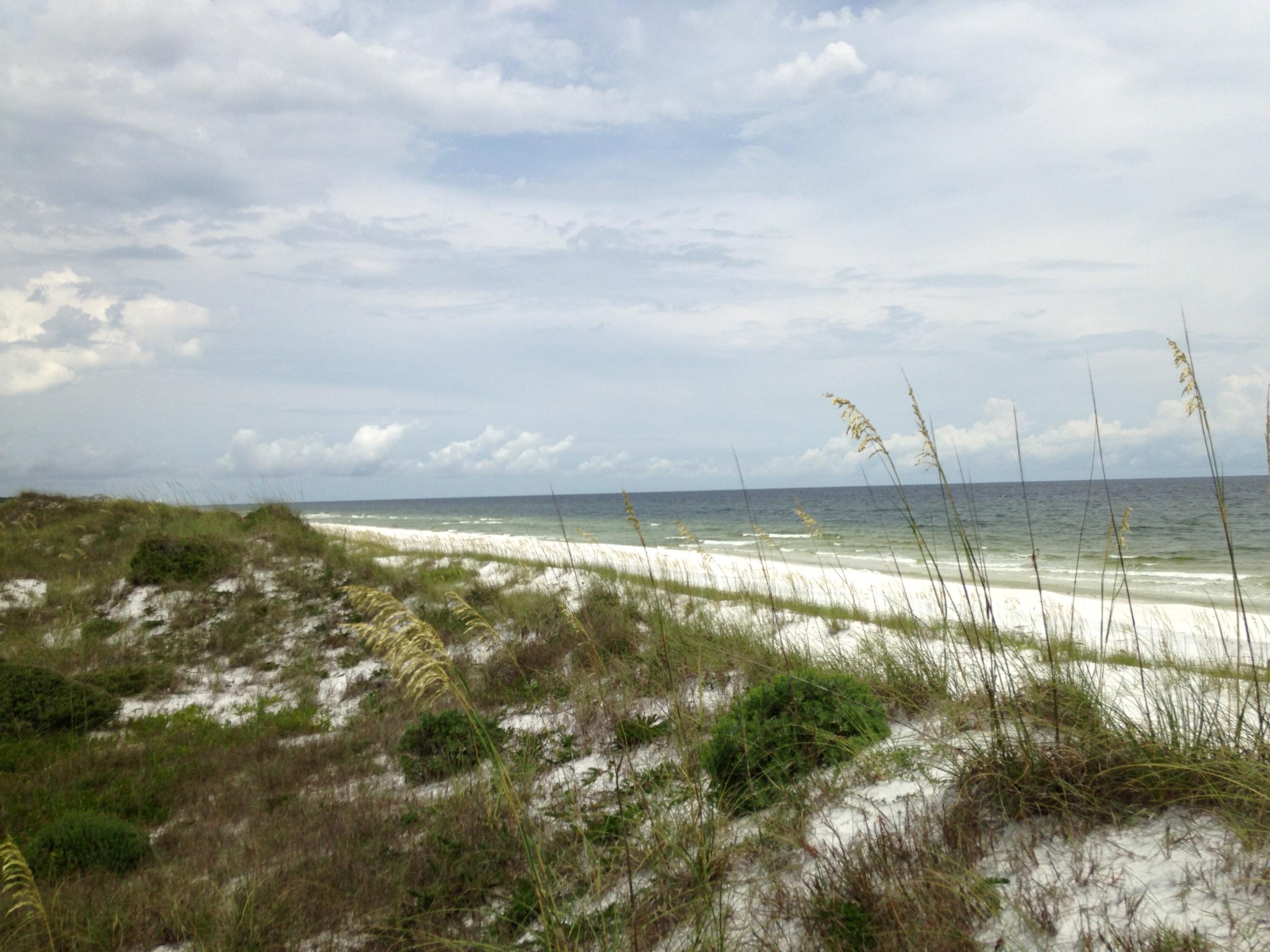 Topsail Preserve - Land