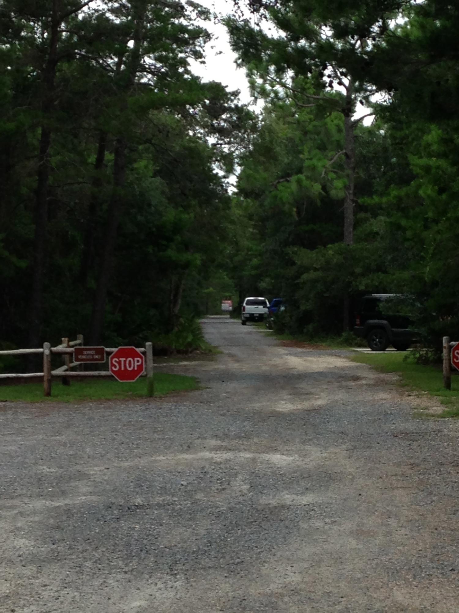 Topsail Preserve - Land