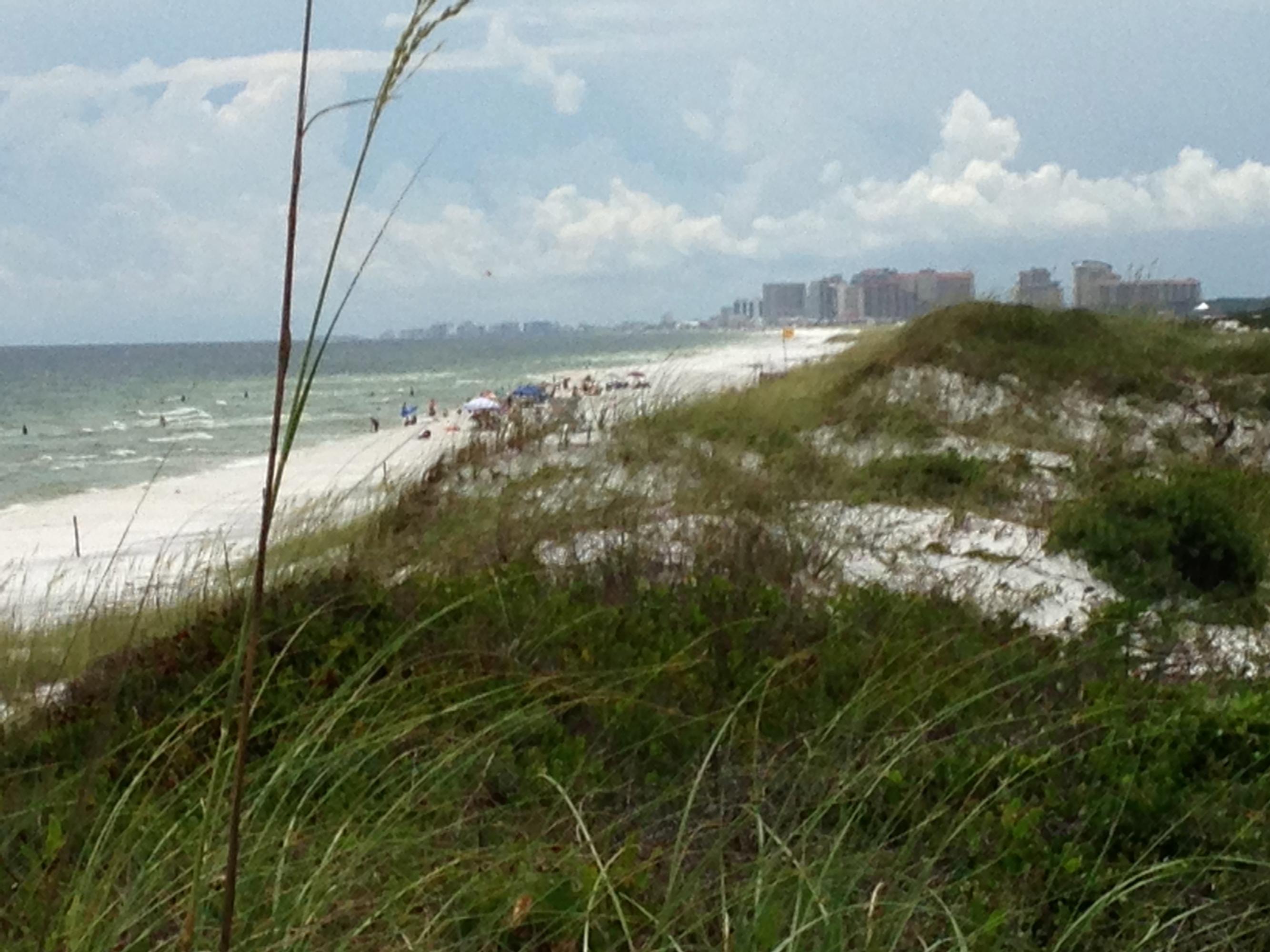 Topsail Preserve - Land