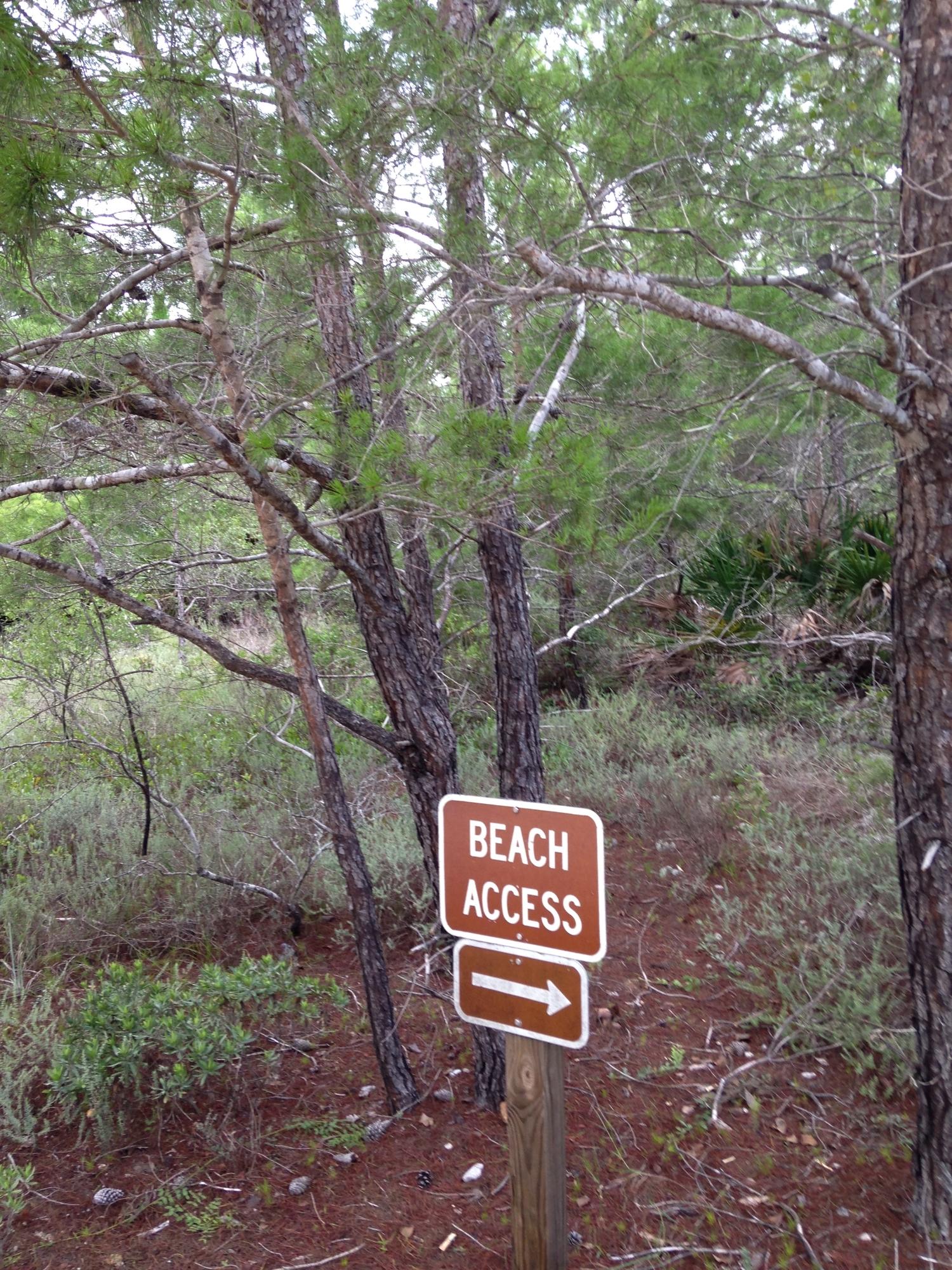 Topsail Preserve - Land