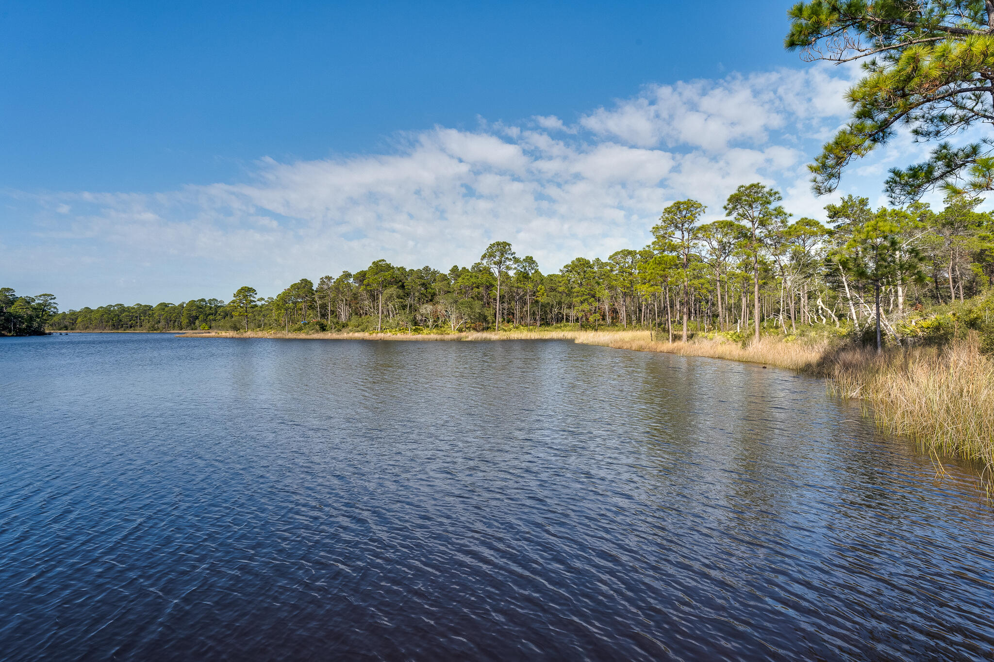 HERONS WATCH CONDO PH 1 - Residential