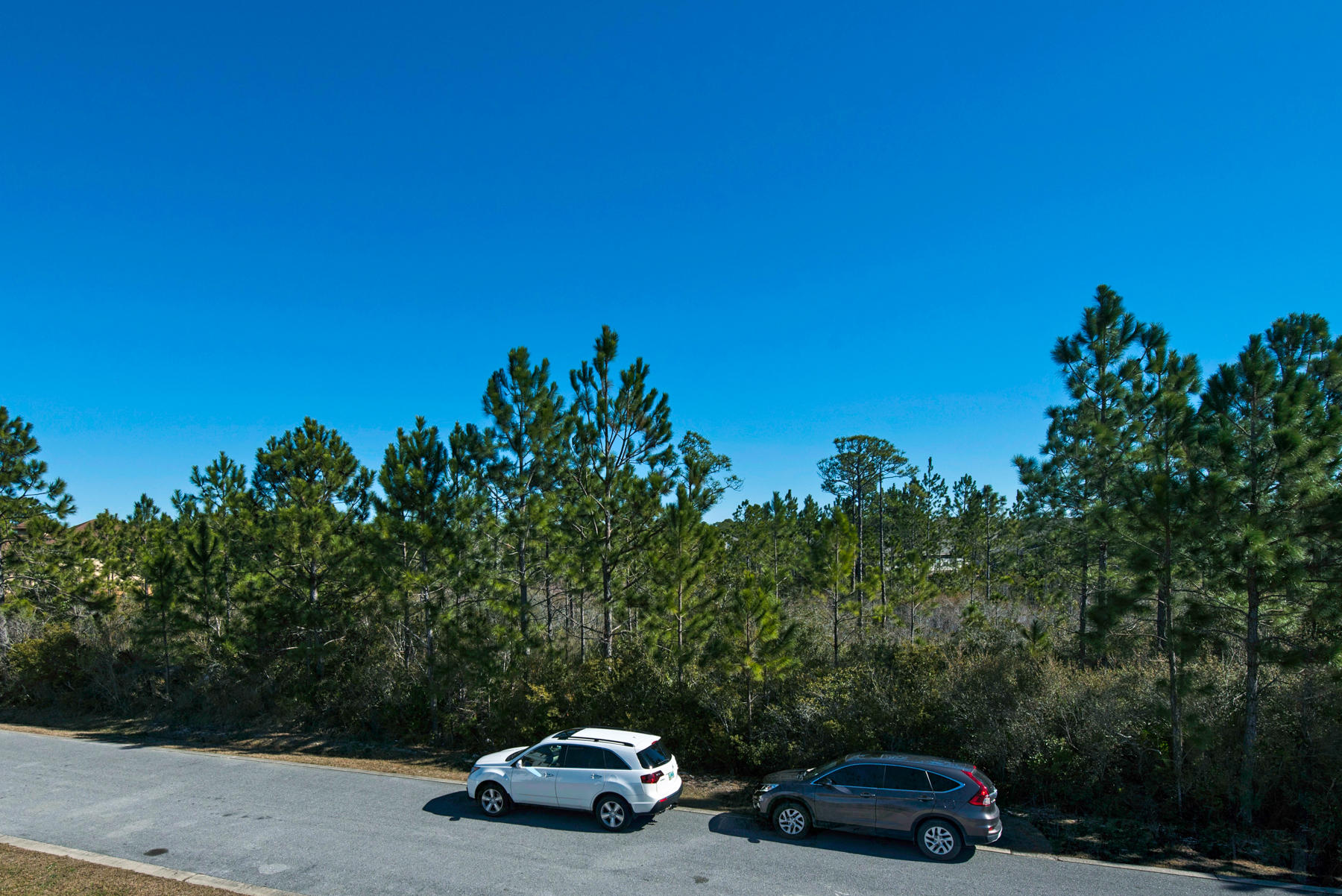 CYPRESS BREEZE PLANTATION - Residential