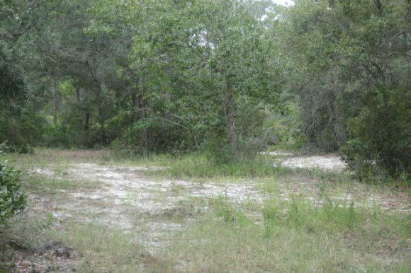 -Wonderful opportunity to live in a gated lake Powell community. This quite off the beaten path location is close to Rosemary Beach an Alys Beach. This large High and dry lakefront lot sits over looking beautiful pristine Lake Powell in a small gated Community. This community offers great amenities which include private pool, changing rooms, grilling area as well a community dock, no build out times. Buy to build now or invest in the future opportunity to enjoy this incredible area. TAP FEES PAID!! Survey available.