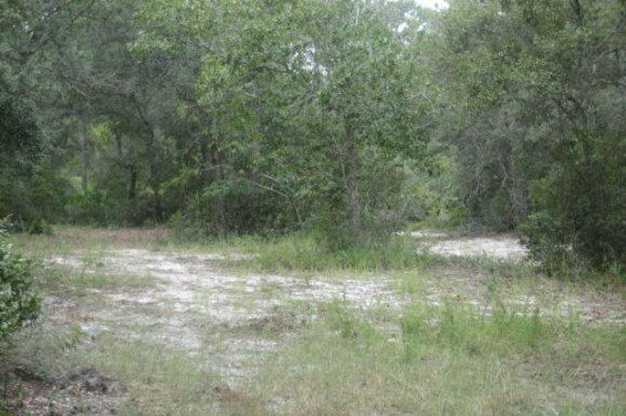 -Wonderful opportunity to live in a gated lake Powell community. This quite off the beaten path location is close to Rosemary Beach an Alys Beach. This large High and dry lakefront lot sits over looking beautiful pristine Lake Powell in a small gated Community. This community offers great amenities which include private pool, changing rooms, grilling area as well a community dock, no build out times. Buy to build now or invest in the future opportunity to enjoy this incredible area. TAP FEES PAID!! Survey available.