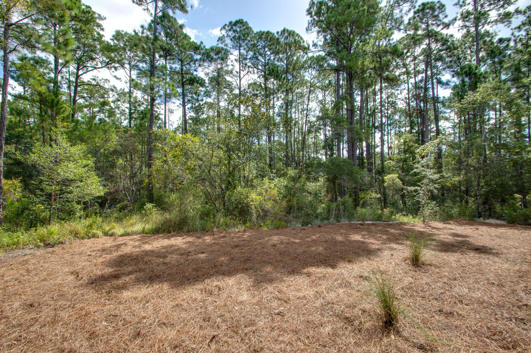 EDEN'S LANDING - Residential