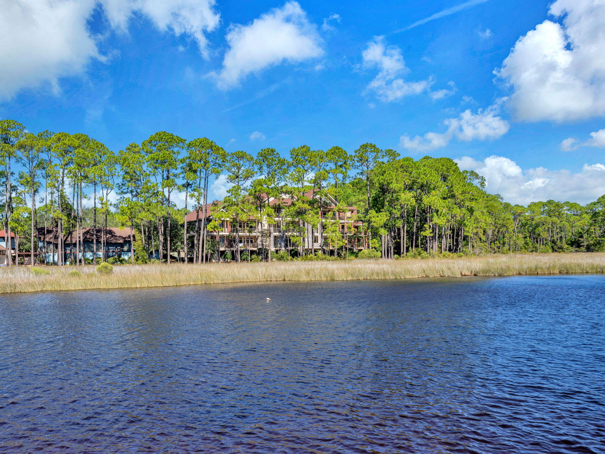 WILD HERON - Residential
