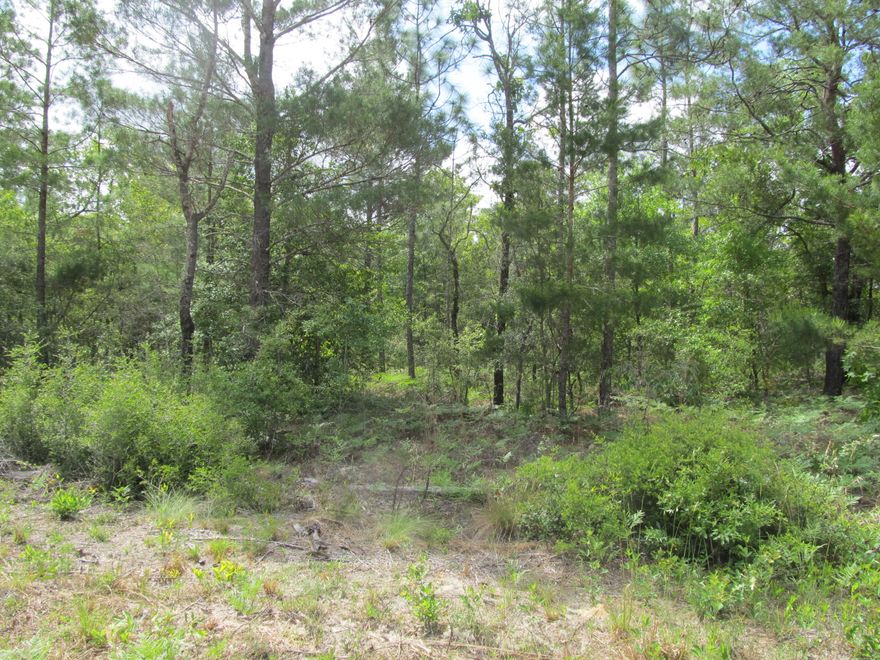Great level lot in Mossy Head, FL.    Electricity and water are available at road but tap fees are not paid.  Property will require a septic.  There is no survey on file.  Manufactured homes are allowed.
