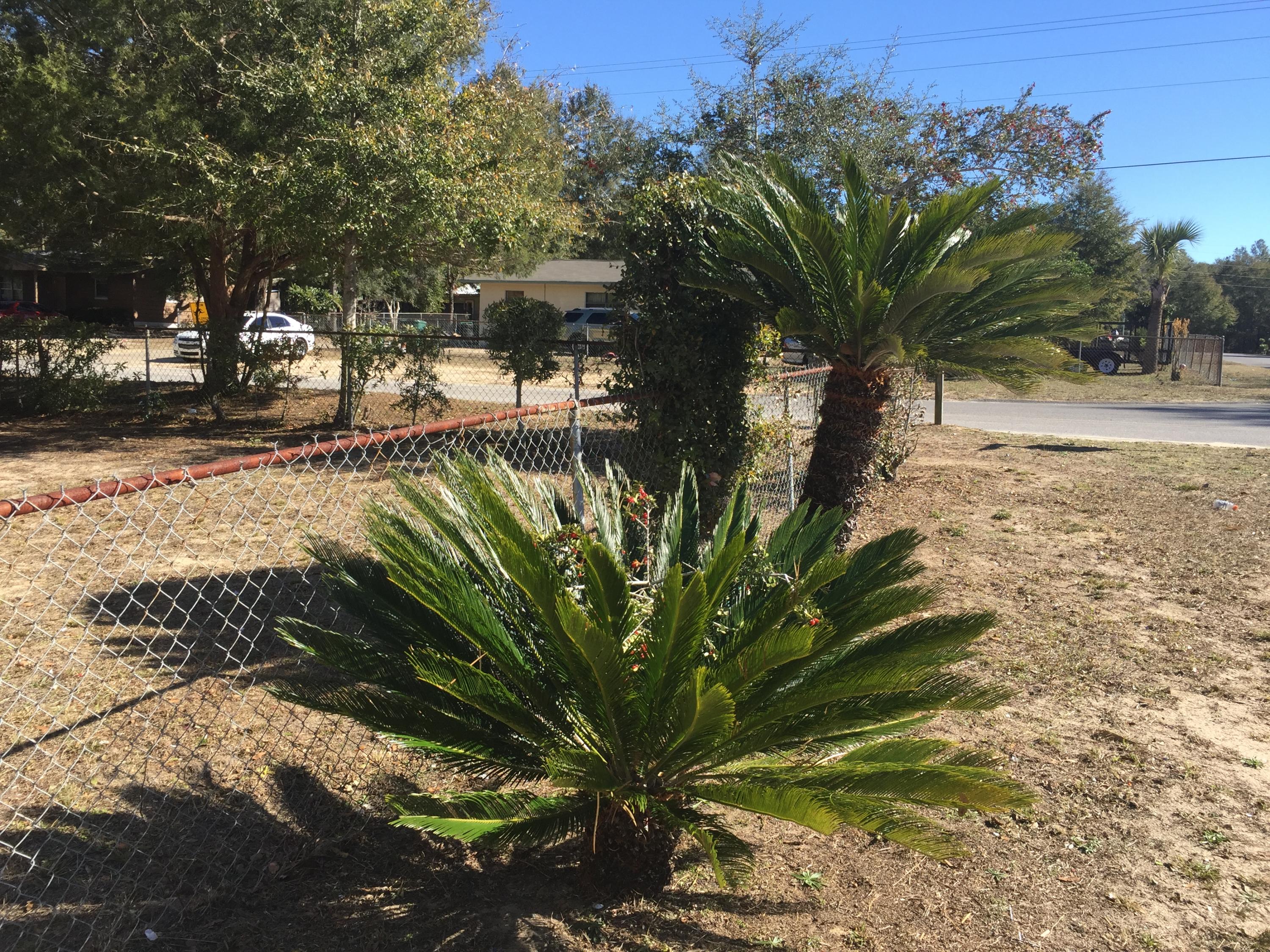 BLAKE HEIGHTS - Residential