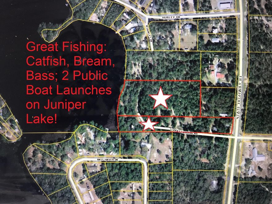 Two parcels (last 4 of parcel #0011 & 0000) totaling just over 6 acres with apx. 130 ft on Hwy 83 and apx. 430 ft on Lake Juniper. there was once a bait and tackle shop at the Hwy and a picnic and park area at the lake. There is also an old frame home that is given no value. this would be a great location for your dream home on the lake or even a commercial business (bait & tackle, lakeside restaurant, etc). Schedule your showing today!
