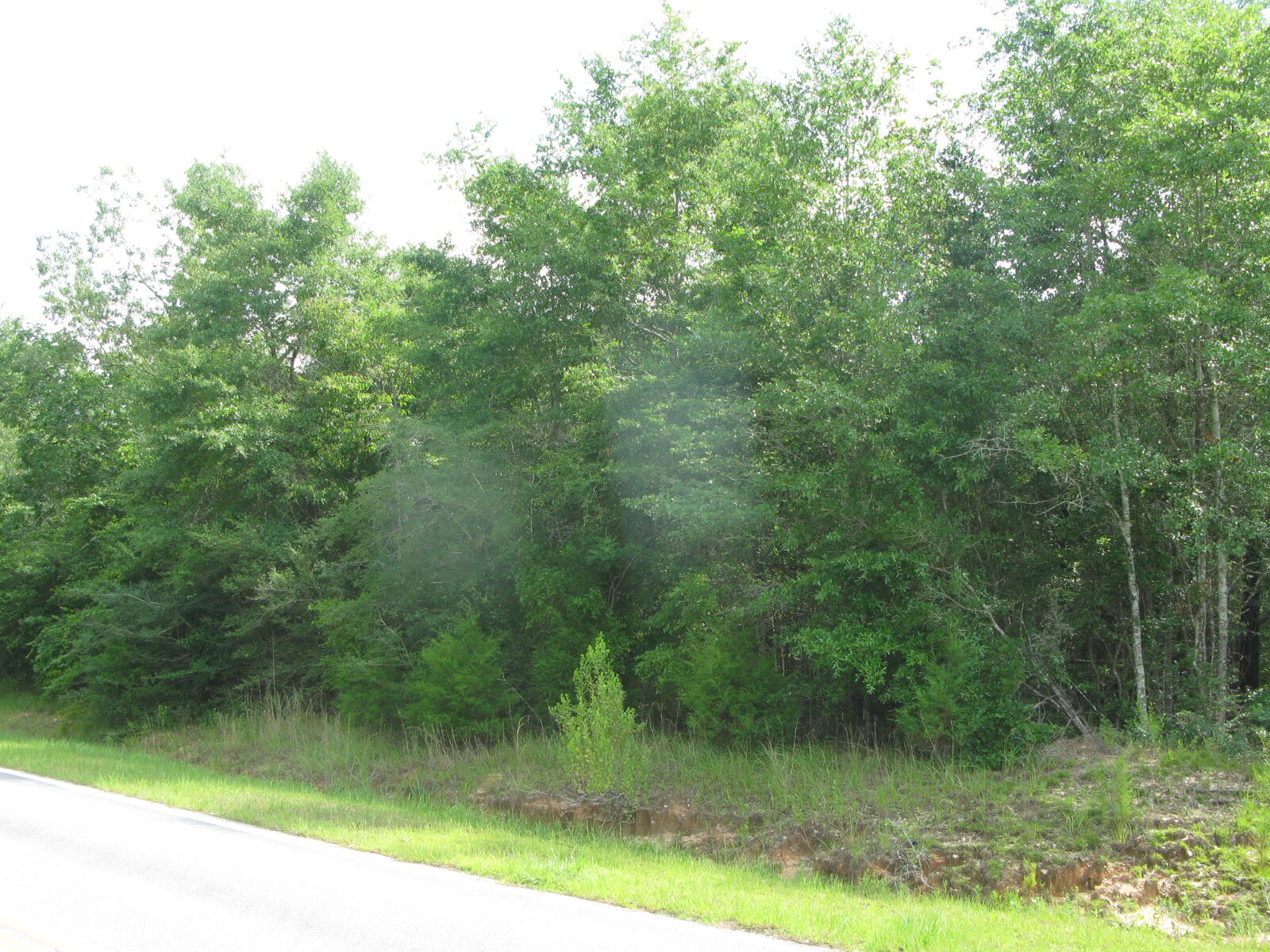 METES & BOUNDS - Farm