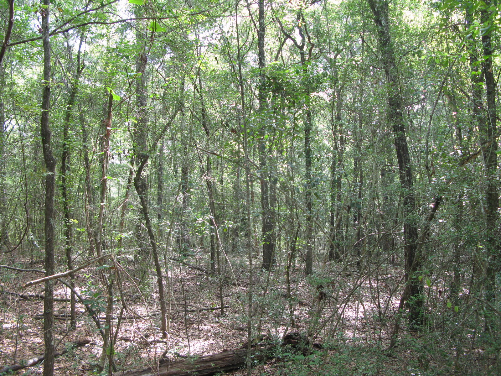 METES & BOUNDS - Farm