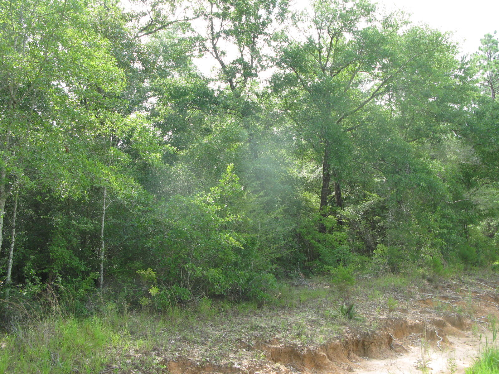 METES & BOUNDS - Farm