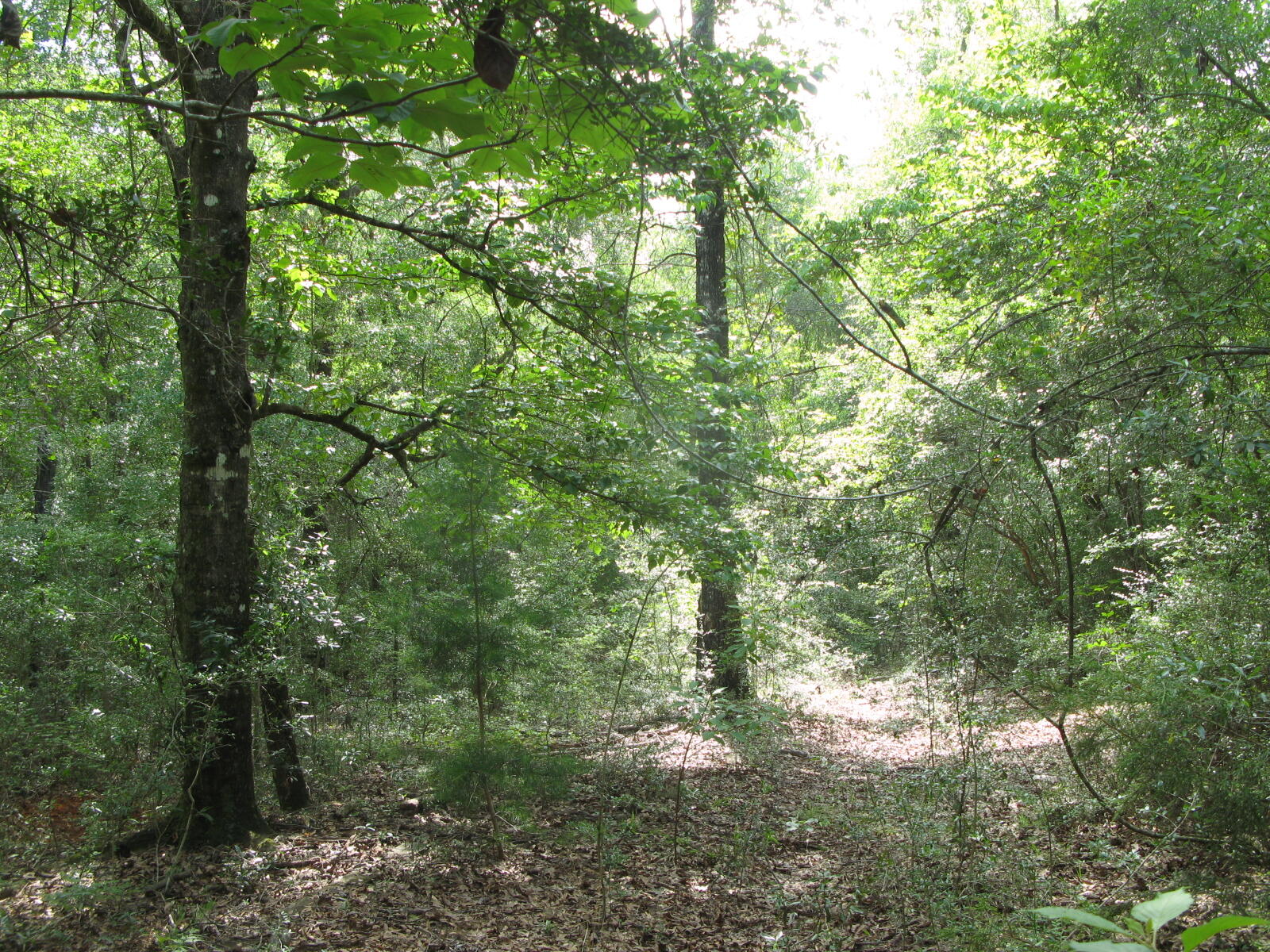 METES & BOUNDS - Farm