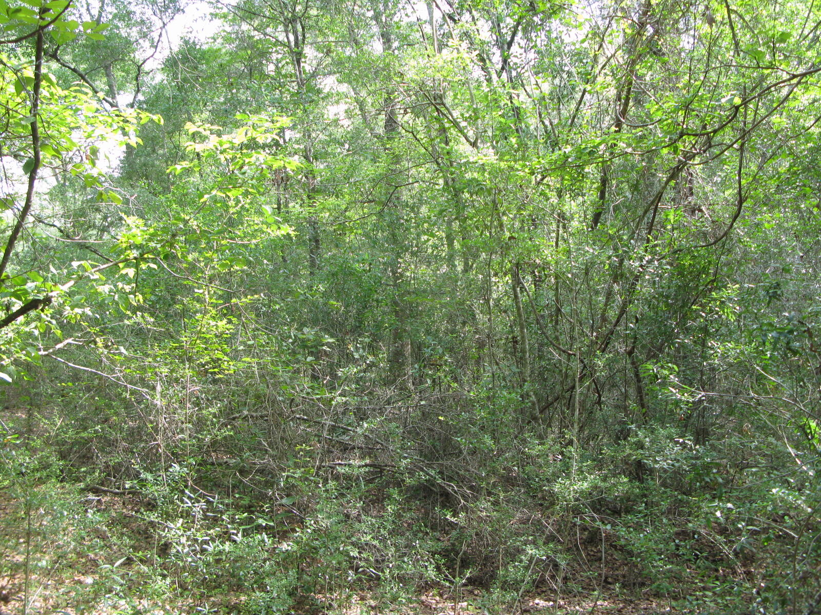 METES & BOUNDS - Farm