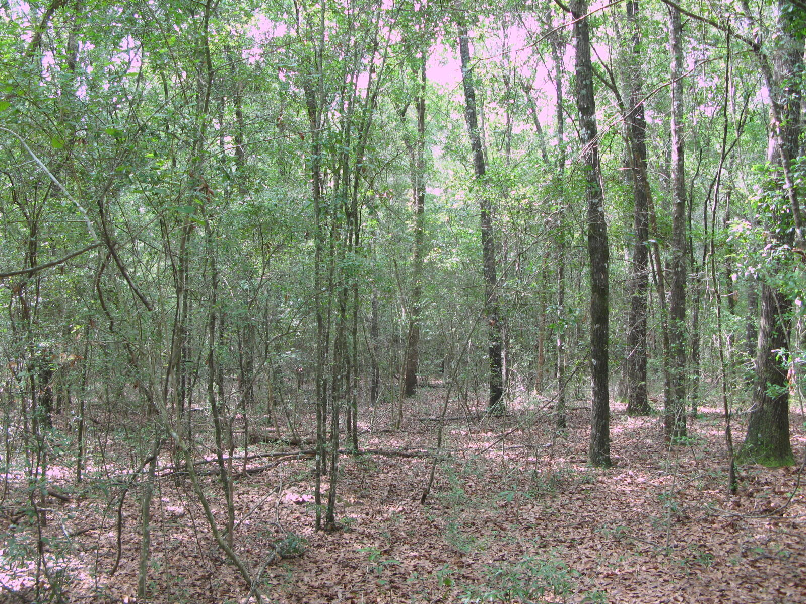 METES & BOUNDS - Farm