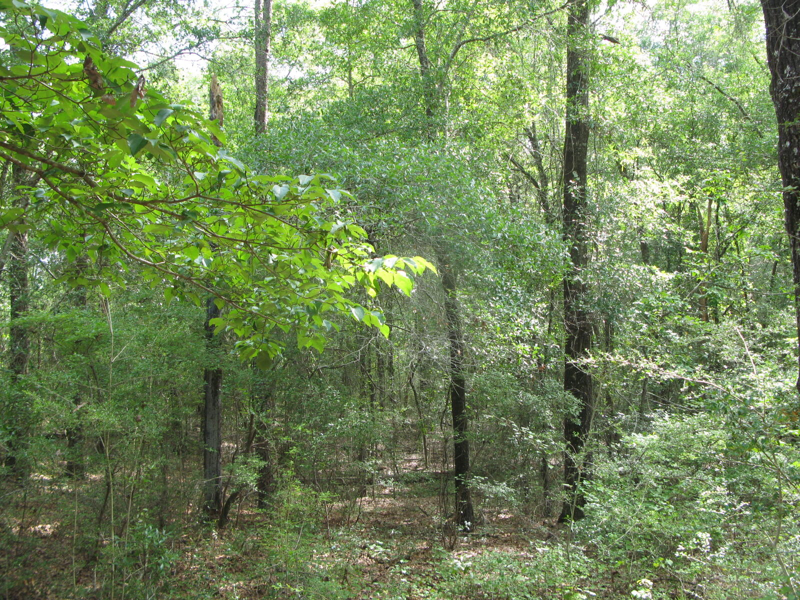 METES & BOUNDS - Farm