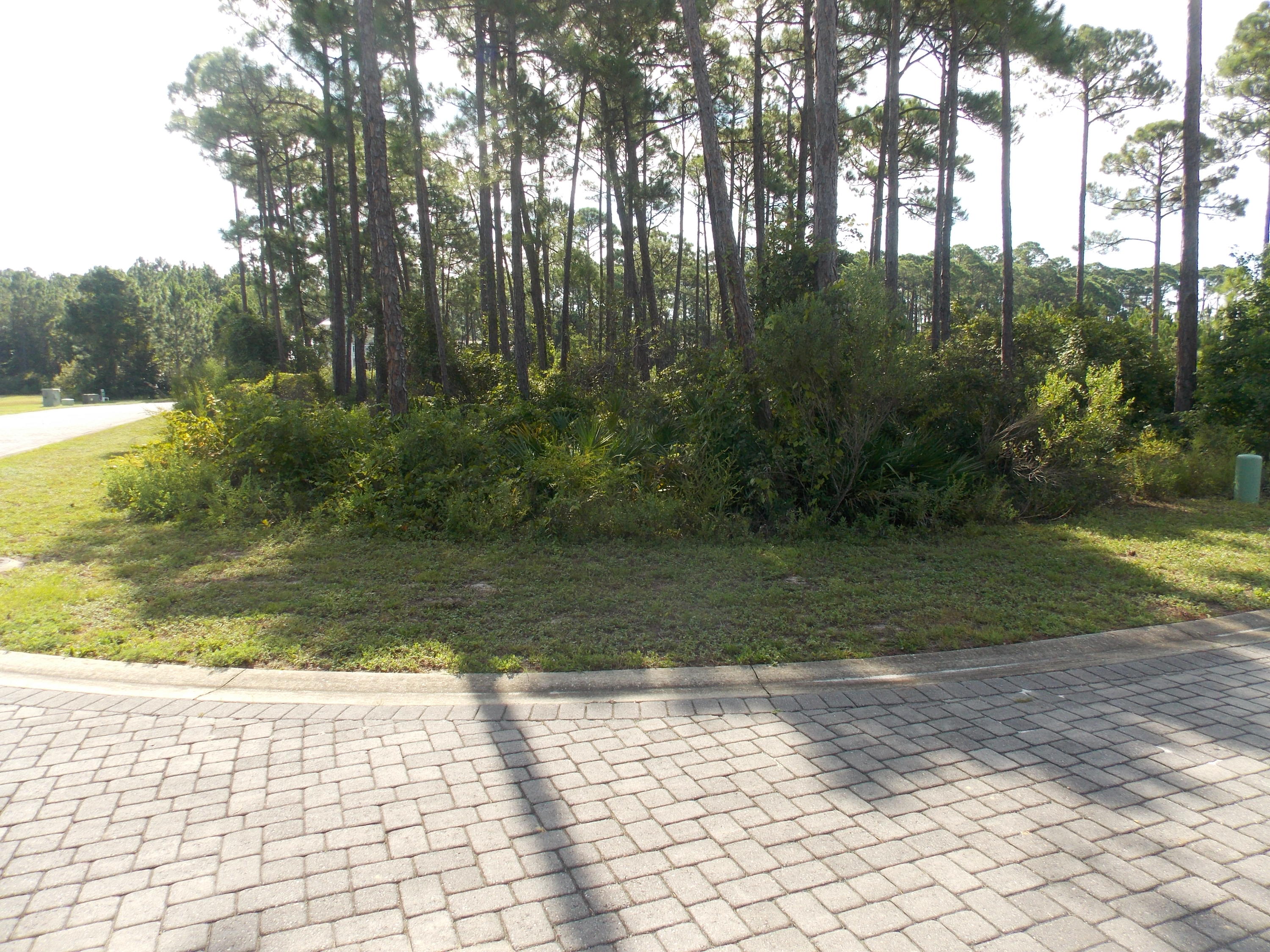 FRANGISTA BEACH - Land