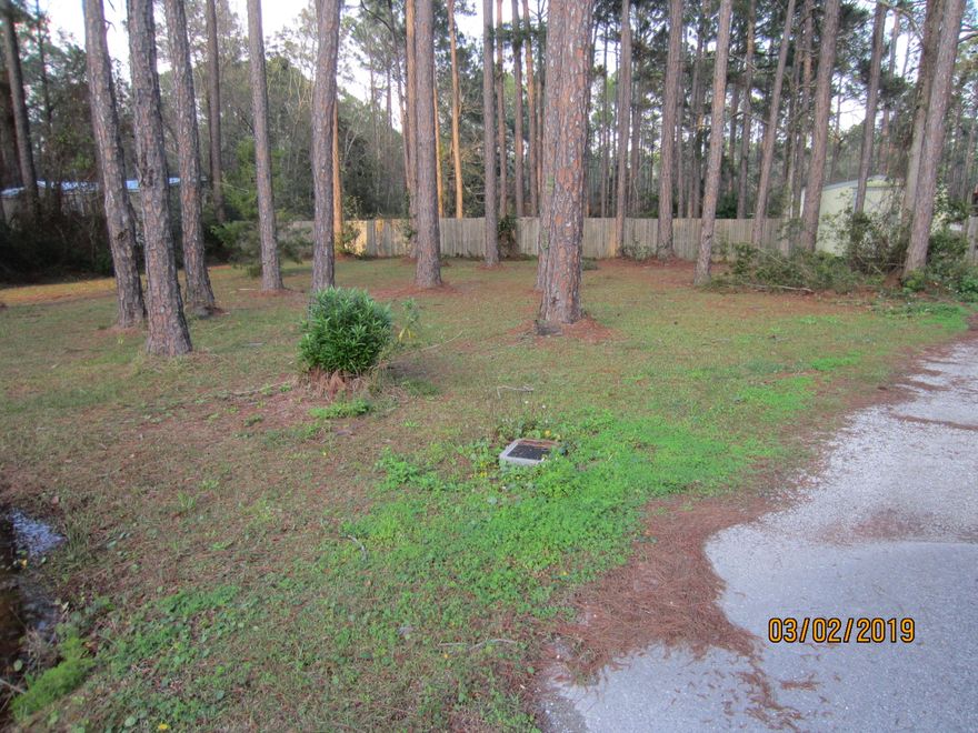 Over half acre of vacant land that is privacy fenced on three sides. Very nice mature trees but clear of underbrush. Public water and sewer are available. Property is high and dry with an elevation estimated at about 6 feet. Paved road directly in front of lot. This is a fast developing area with much potential. Owner will add fencing to additional side at no cost before closing.