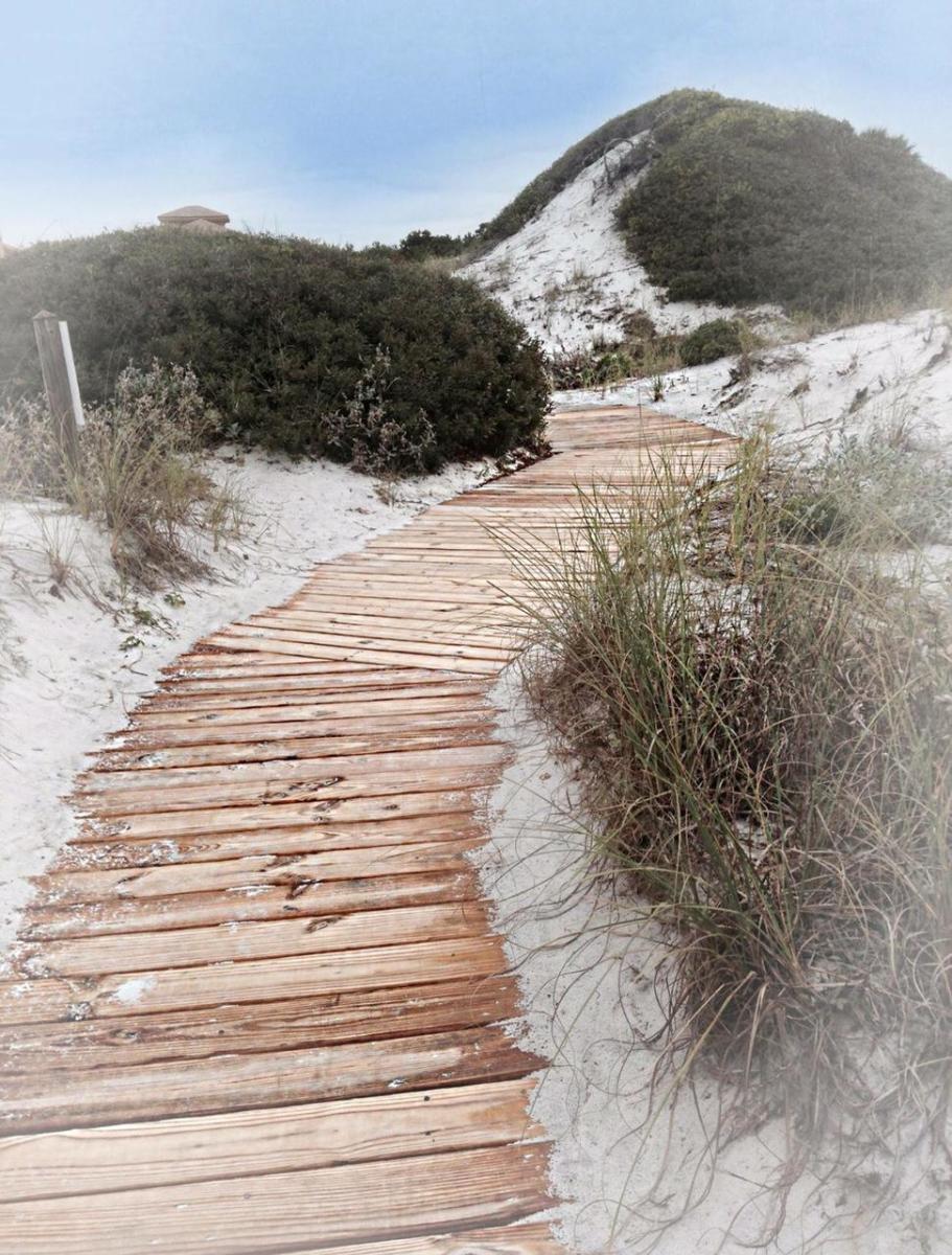 THE PRESERVE AT GRAYTON BEACH - Residential