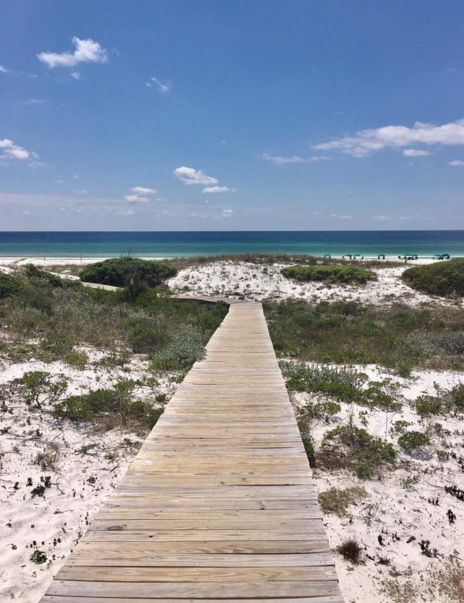 THE PRESERVE AT GRAYTON BEACH - Residential