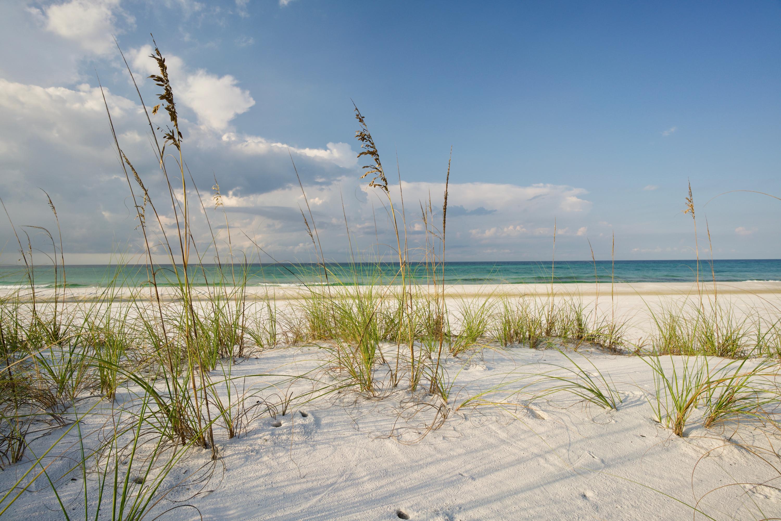 THE PRESERVE AT GRAYTON BEACH - Residential