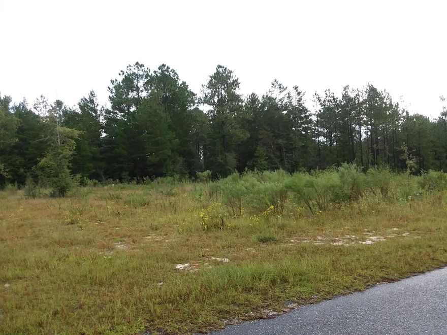 Beautiful corner building lot in the very desirable Ten Lakes Estates. This .81 of an acre is cleared and has a beautiful water view, back corner adjoins pond behind the property. Tap fees have been paid , septic needed.