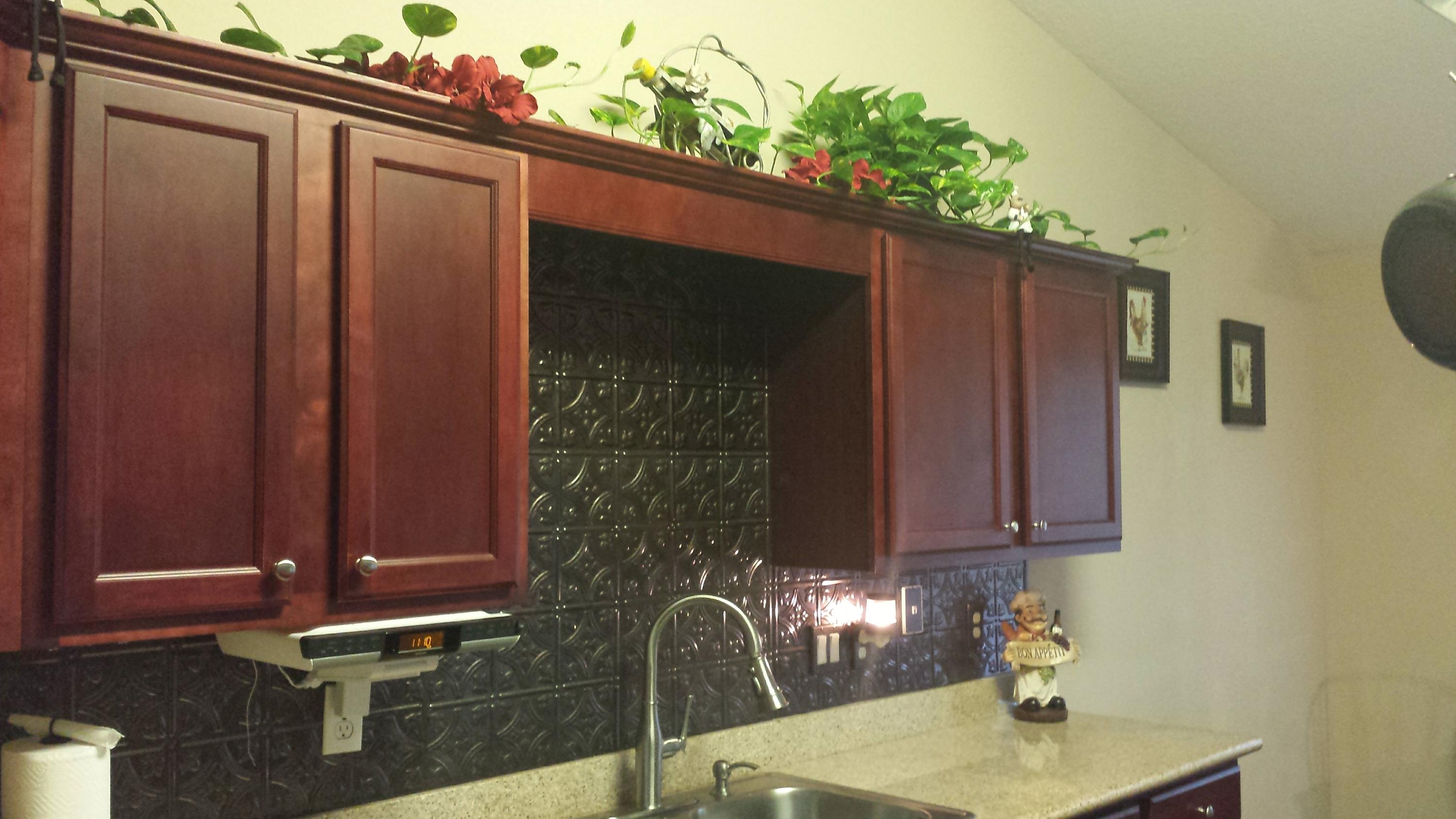 SILVER SPRINGS EST - Residential