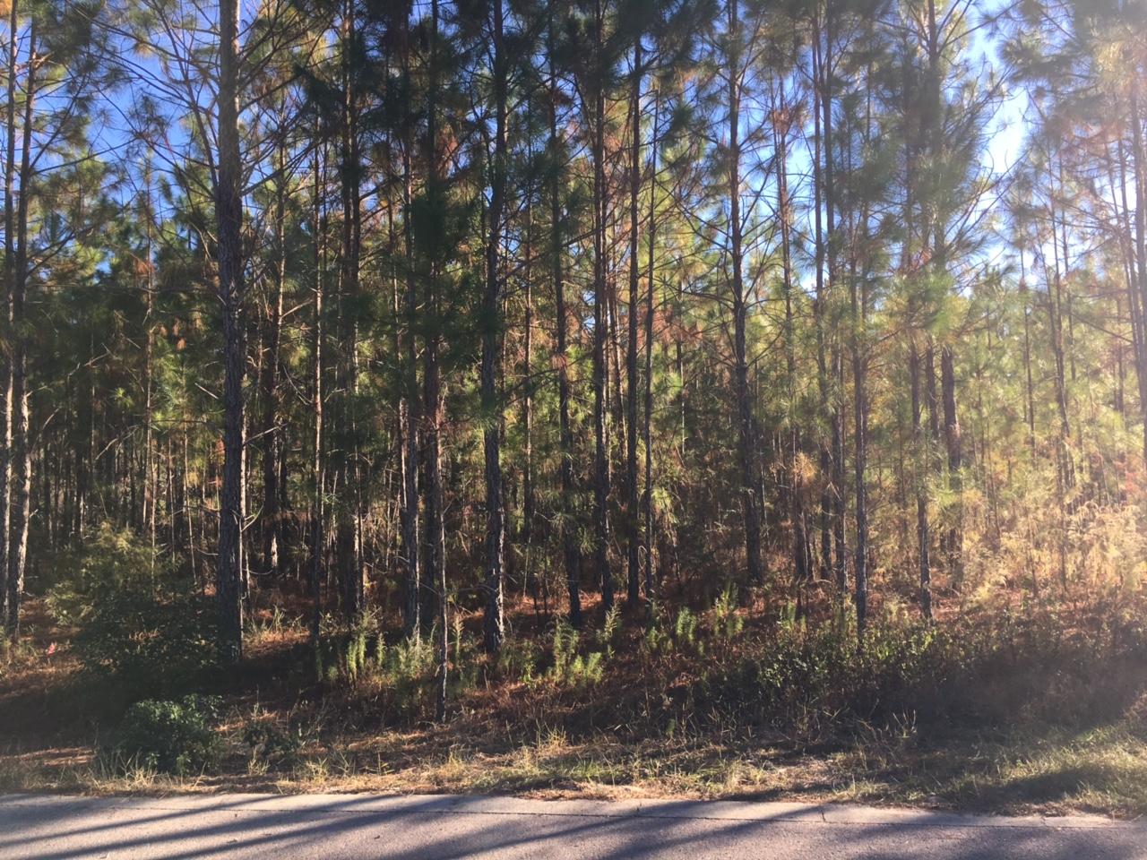 HIDDEN HIGHLANDS - Land