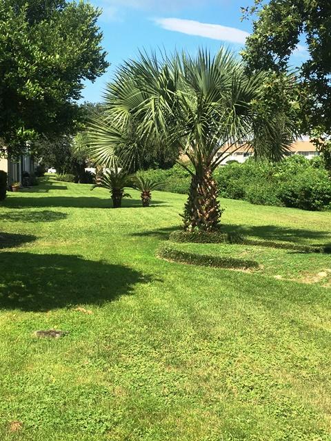 DESTIN RACQUET CLUB T/H - Residential