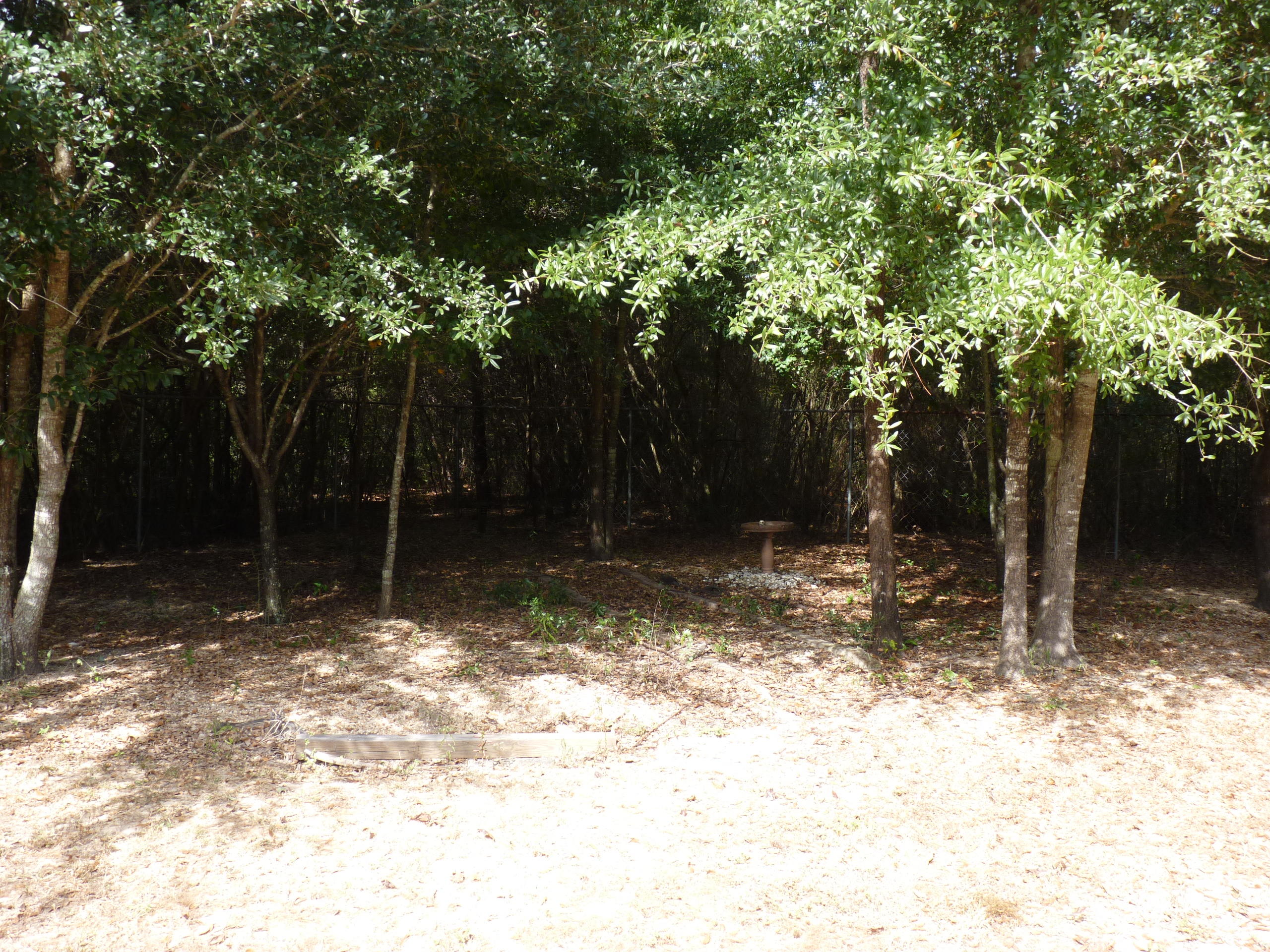 CORONADO VILLAGE PH 1 - Residential