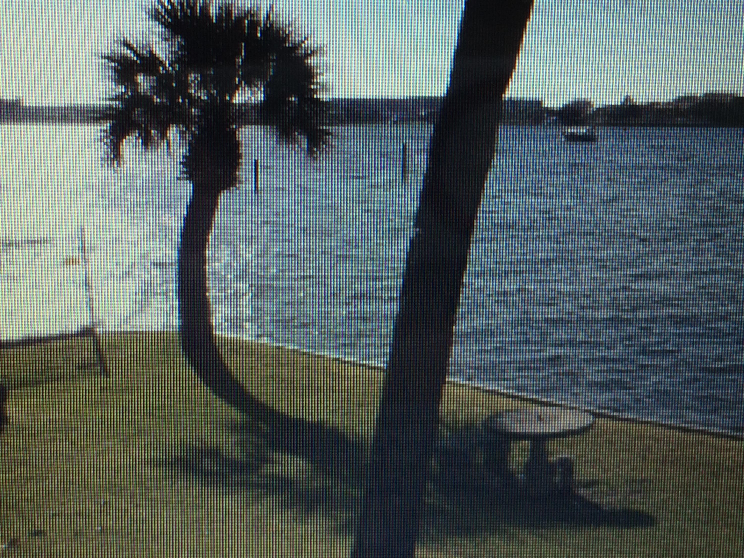 CASA DEL MAR - Residential Lease