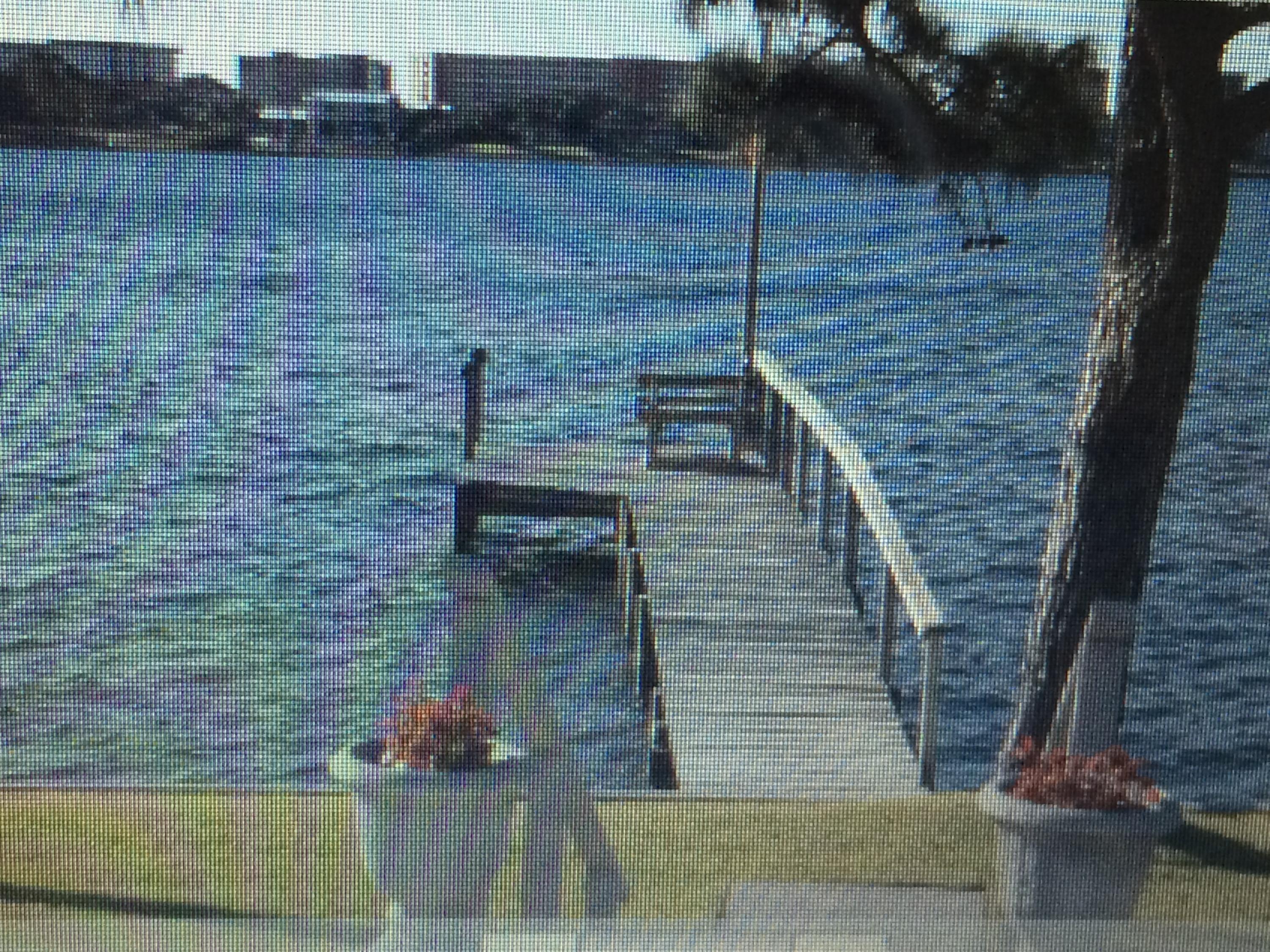 CASA DEL MAR - Residential Lease